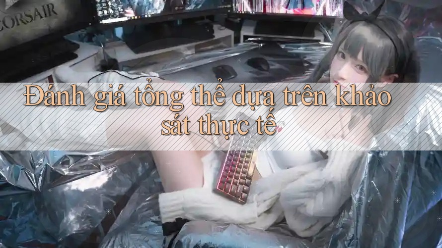 Đánh giá tổng thể dựa trên khảo sát thực tế